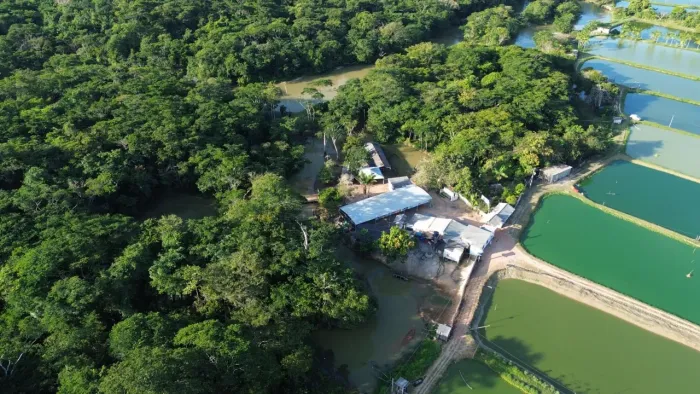 Banho do projeto