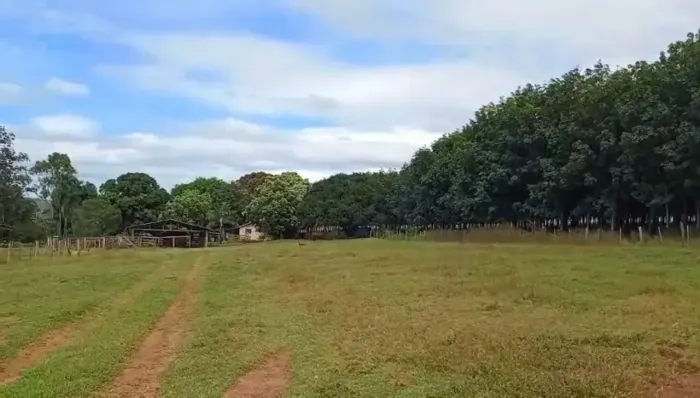O P O R T U N I D A D E - CHÁCARA  DE SERINGA NO MUNI. DE CASSILÂNDIA - MS