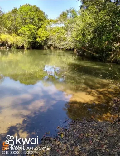 Chácara mais Rio no fundo dela Cristianópolis Goiás.