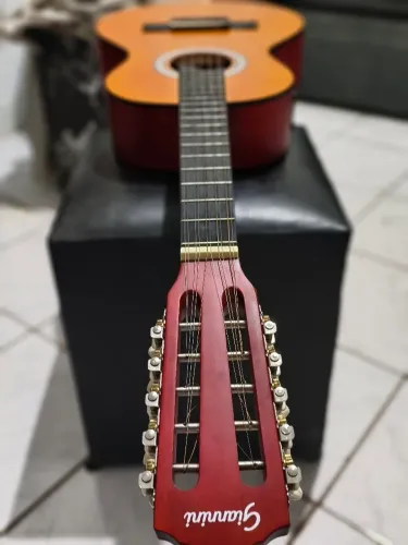 Viola eletrônica Gianini start 
