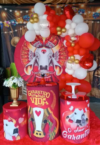Decoração de festa boi garantidos