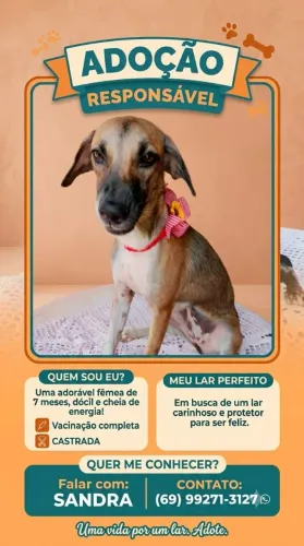 Disponível pra doação responsável.