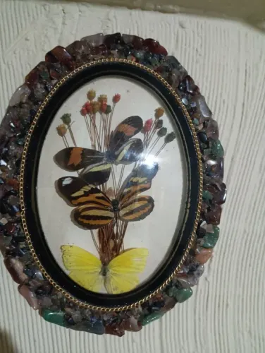 Quadro decorativo borboleta 