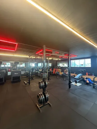 Gaiola Funcional Lion Fitness