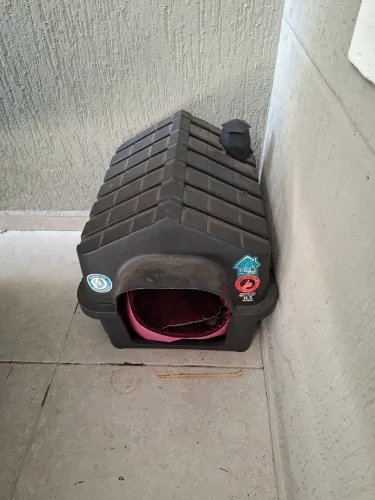 Casinha de cachorro