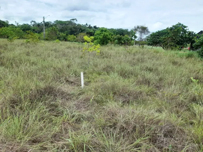 Vende se terrenos na vila São silvestre medindo 12por 37 valor 10 mil avista..