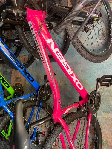 Bicicleta aro 29 Rosa