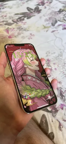 iPhone 13 Pro Max 