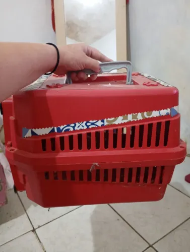 Caixa média para transporte para gatos
