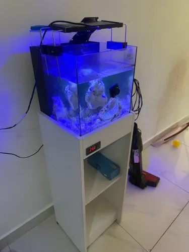 Vendo Aquário 20L com móvel