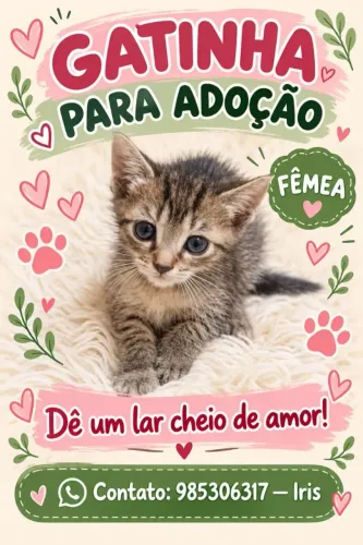 Doação gatinha