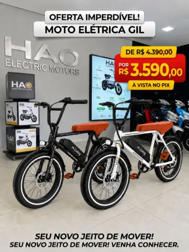 HAO ELECTRIC MOTORS 