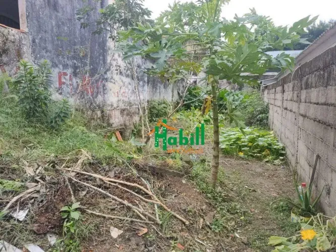 Terreno à venda, 125 m² por R$ 150.000,00 - Tinga - Caraguatatuba/SP