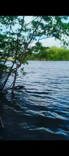 Vendo pequena propriedade , região de tutoia , beira rio