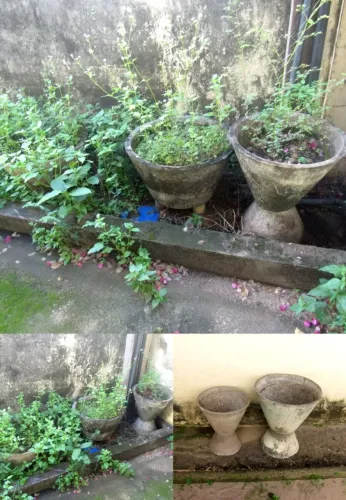 vaso de concreto