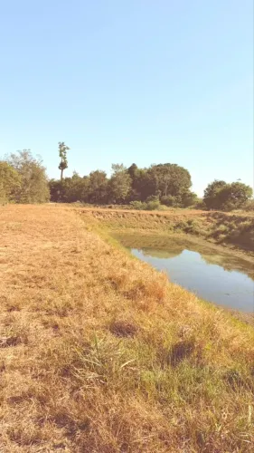 Sítio a venda em Comodoro Mato Grosso