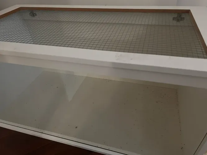 terrario para hamster