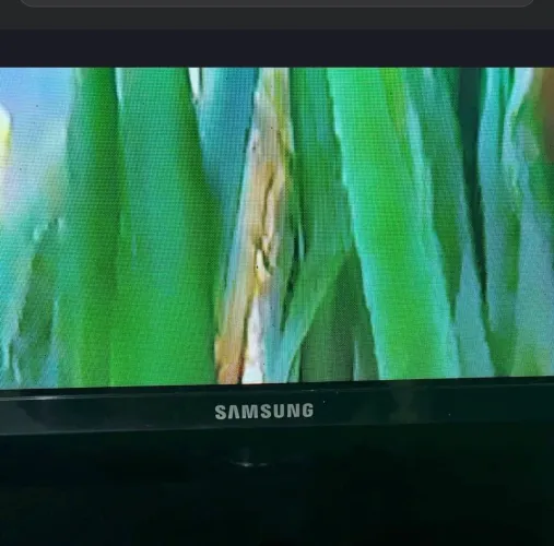 Tv Samsung,32 polegadas; Não eh smart