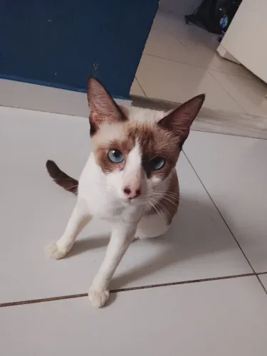 Doação 