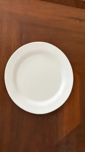 42 Pratos (raso) para restaurante/lanchonete