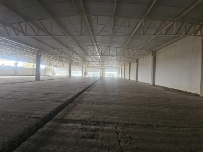 Megaloja BTS em Campo Largo: Visibilidade, Estrutura e Localização Estratégica para Grande