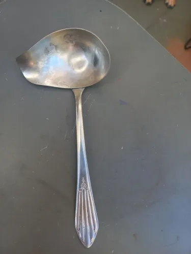 Concha para molho de alpaca