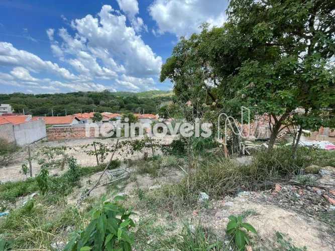 Venda Lote-Área-Terreno Sonho Verde Florestal