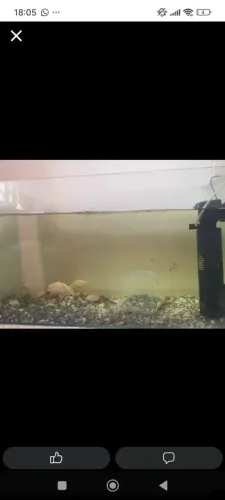 Aquário mas ou menos 120 litros