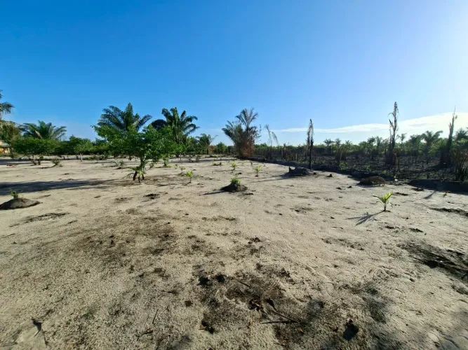Terreno em Colares