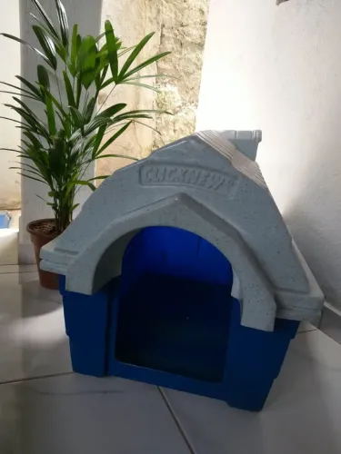 Casinha média para cachorro 