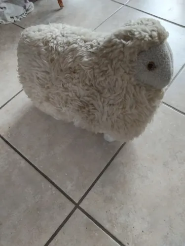 Ovelha peluda