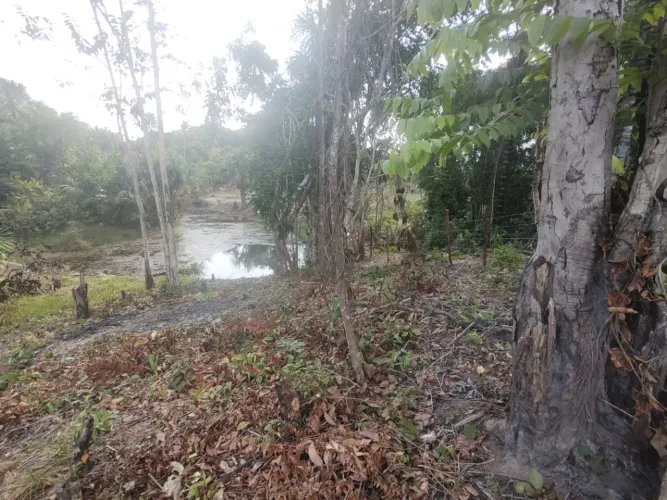 VENDO TERRENO PARA SÍTIO RAMAL BRASILEIRINHO R$ 9,95 O MT QUADRADO leia o Anúncio 