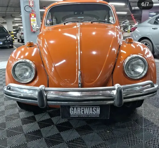 Vendo vitrificação de pintura 