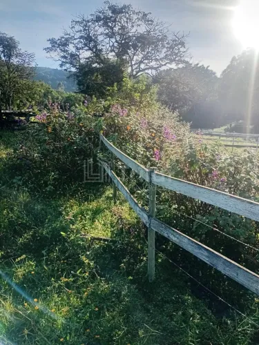 Imperdível: Sitio à venda em Lagoinha-SP, Bairro da Serra Negra! 4 quartos, 2 suítes, 1 sa