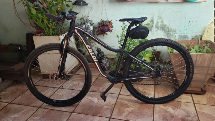 Caloi aro 29