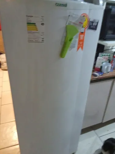 Freezer 110V 