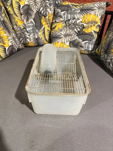 Bioterio para Roedores Ratos Camundongo Hamster