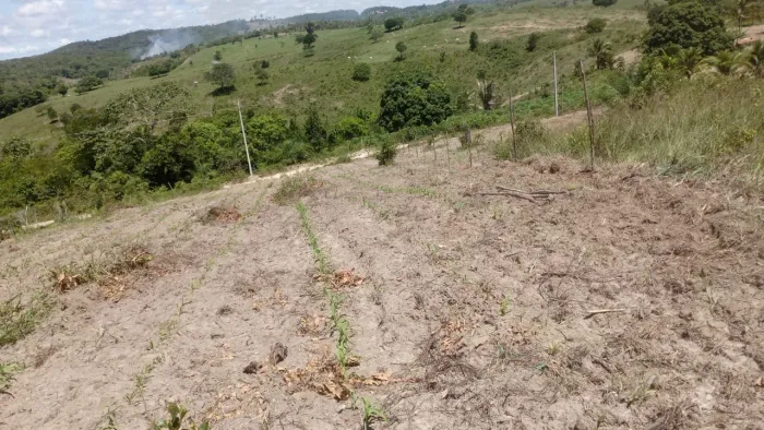Terreno em Santa luzia Estância 