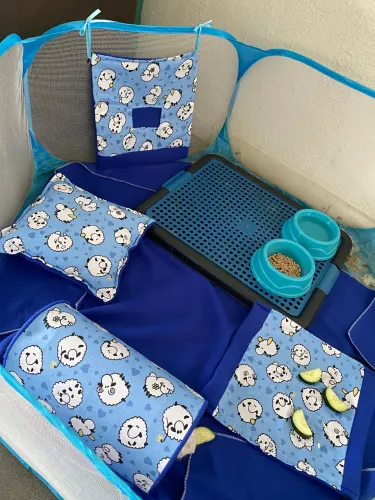 Vendo kit completo de porquinho da índia 
