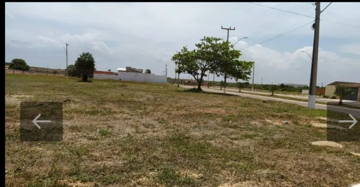 Lote