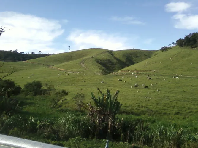 FAZENDA COM 54 ALQUEIRES EM SÃO LUIZ DO PARAITINGA/SÃO PAULO