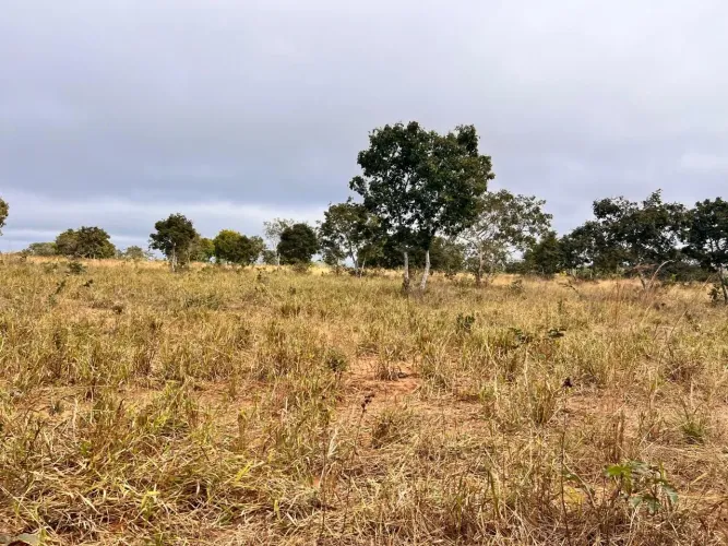 Linda fazenda de 97 hectares a 70 km de Cuiabá o