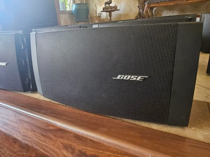 Bose ds100se (par)