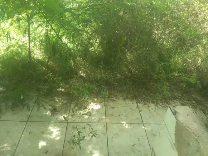 Terreno com casa