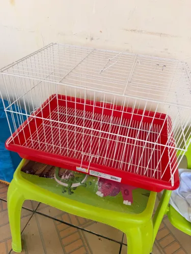 Vendo gaiola pra Coelho ou porquinho da índia