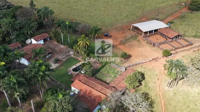 FAZENDA EM GOIANIRA