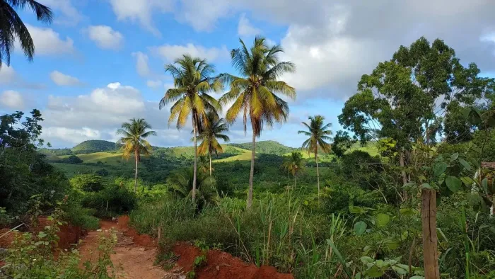 LOTES PRAIA-OPORTUNIDADE PARA INVESTIDOR QUE PENSA GRANDE E NÃO CAI EM ARMADILHA, PARCELO 
