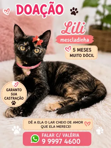 LILI MESCLADINHA