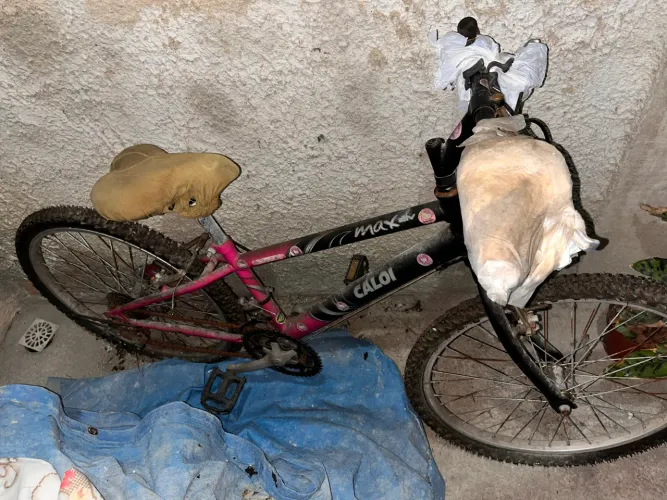 Bicicleta CALOI
