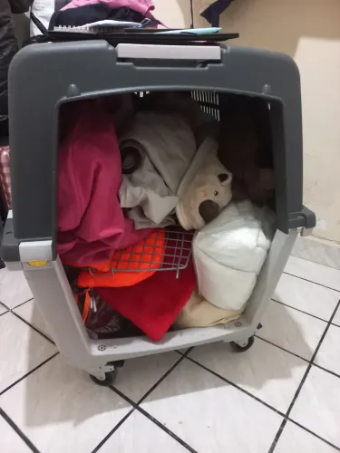 Caixa de transporte PET